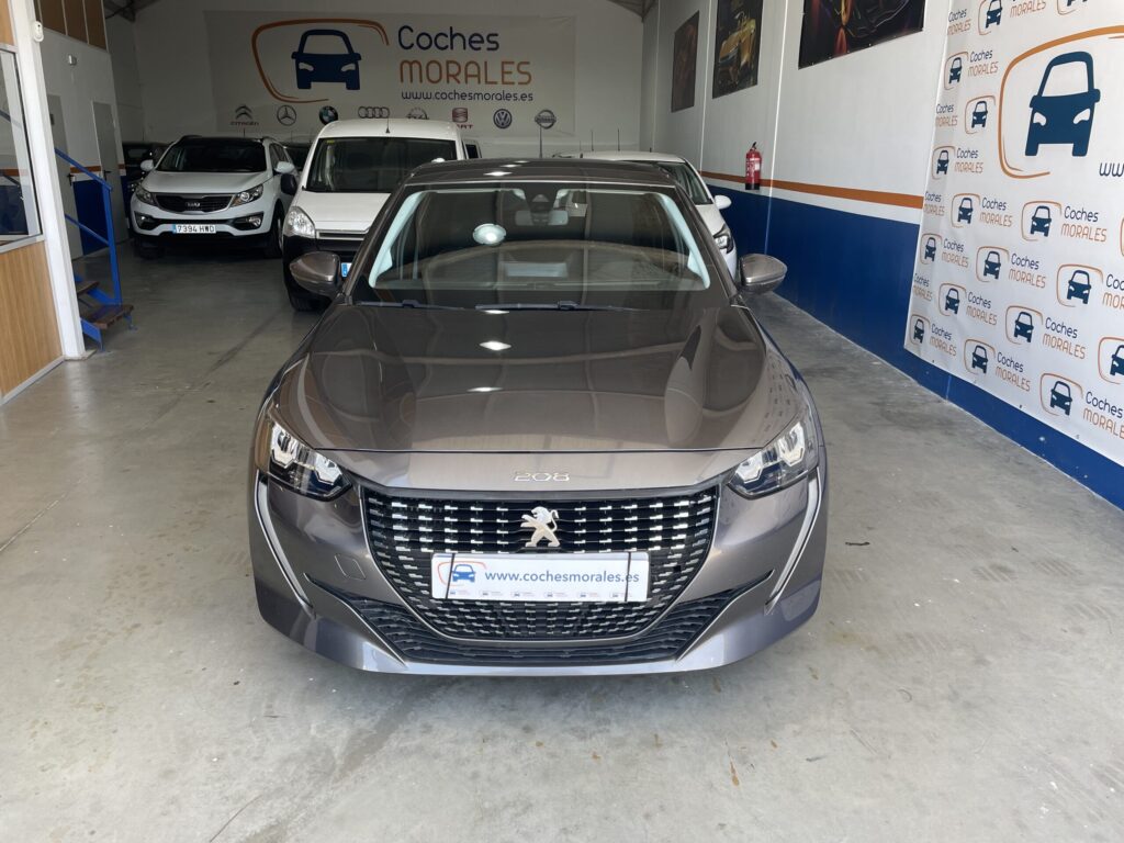 cochesjerez, furgonetajerez, vehiculoscongarantia, cochesdeconfianza, vehiculosdeconfianza, furgonetacadiz, cochescadiz, renault, renaultkangoo, vehiculoocasion, vehiculoseminuevo, vehiculo, coche, cocheocasion, cocheseminuevo, seminuevo, ocasion, cochesnet, milanuncios, toyota, ford, volklswagen, citroen, peugeot, renault, kangoo, partner, proace, berlingo, industrial, jerez, andalucia, furgonetasevilla, cochesevilla, sevilla, arcos, cochearcos, furgonetaarcos, rota, cochesrota, furgonetasrota, sanlucar, furgonetassanlucar, cochessanlucar, chipiona, cocheschipiona, furgonetaschipiona, sierradecadiz, cochessierradecadiz, furgonetassierradecadiz,cochesmorales